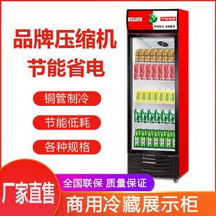 保鲜柜单门啤酒柜 饮料柜双门冷藏展示柜商用冰箱超市冰柜饭店立式
