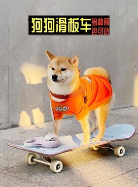宠物狗滑板d车泰迪柯基双翘板滑板车小型玩具法斗专用狗滑板带发