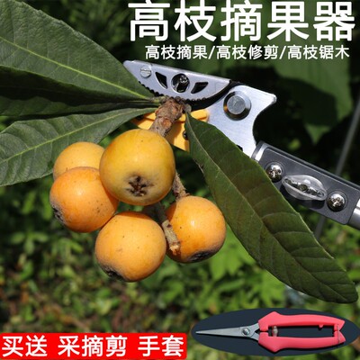 摘果器刀伸缩高空剪多功能摘果z神器摘枇杷高枝锯高枝剪荔枝摘果