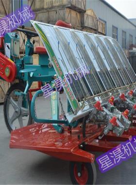 新款乘坐式水稻插秧机六行自行走水稻种植机山地丘陵水稻插秧机