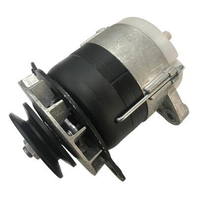 适用拖拉机发电机143701001 464.3701 700.04 24v GA19143