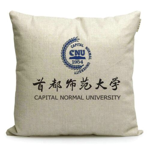 首都师范大学纪念品沙发抱枕定制文创礼品学生靠枕靠背午休枕头