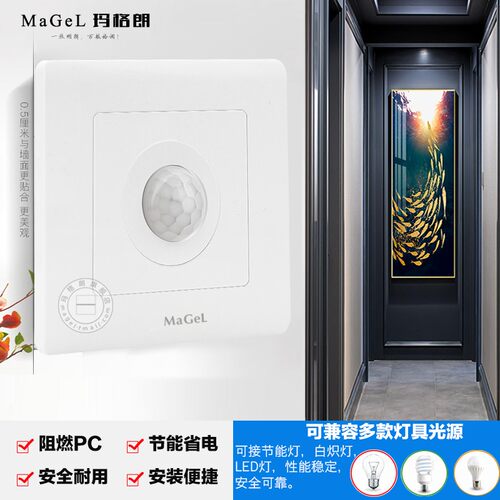 大功率200W二线人体感应开关LED灯 家用楼道红外线感应器延时开关