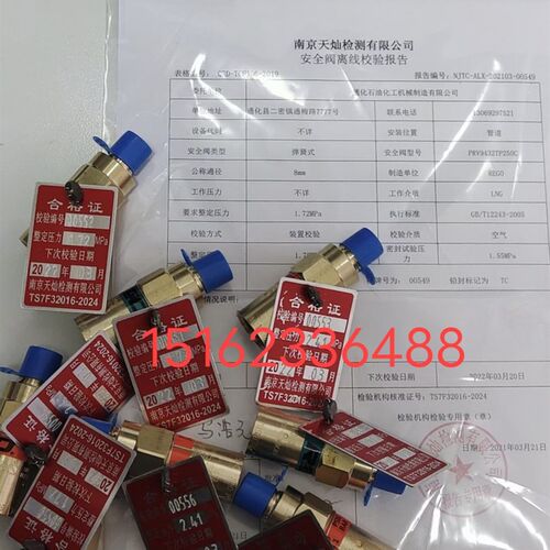 低温管道安全阀 LNG车载天然气车气瓶配件 富瑞特装安全阀泄压阀
