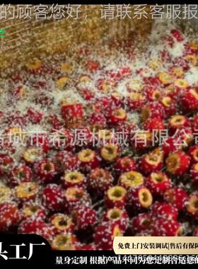 山楂URU球冰糖葫芦条专用挂糖机  全机自动高产量裹糖稀冷冻薯浸