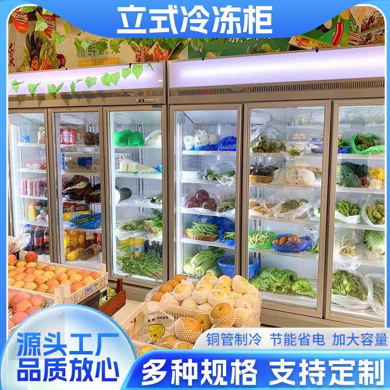 弘鑫顺立式冷冻柜商用冰箱速冻柜风冷大容量超市商场展示柜冷藏柜