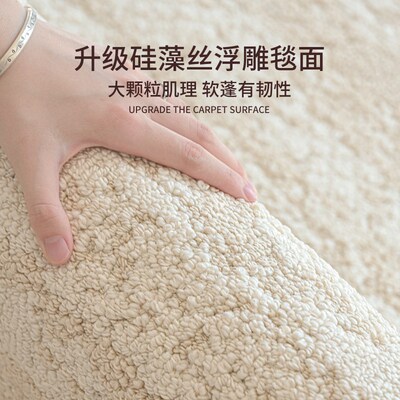 地毯客厅2024新款硅藻丝防水防污免洗可擦免打理轻奢高级沙发地垫