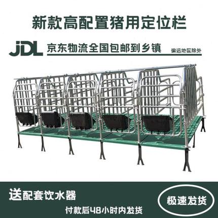 母猪定位栏离地猪用限位栏带复合漏粪板猪圈猪栏养殖体母猪定位