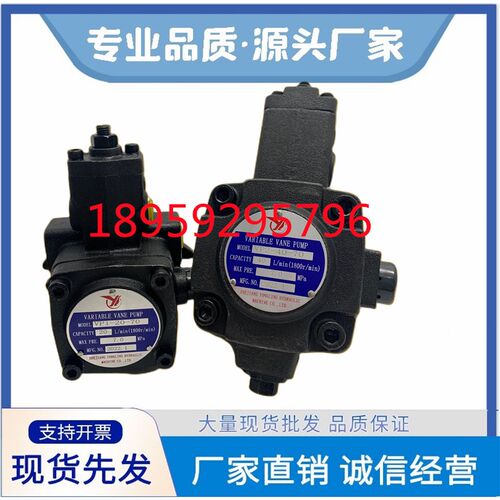 VP2-30 40-35 55 70仙居YLC永灵叶片油泵VP1-8 12 15 20-35 55 70