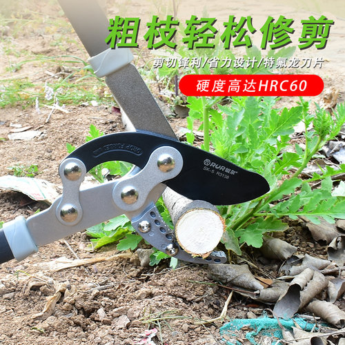 锐尔粗枝剪大力剪强力果树剪子修树枝园林剪刀多功能剪枝剪可伸缩