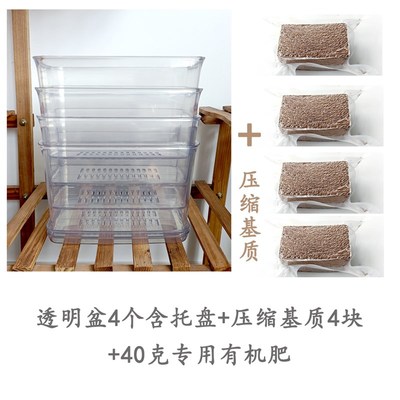 塑料花盆室内阳台窗台透明盆装饰种植通用简约百搭养花盆根系观察