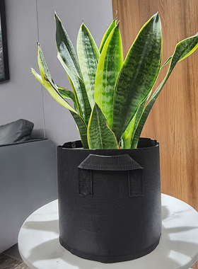 黑色植物种植袋 grow bag 无纺布 加厚毛毡植树袋特大加仑花盆
