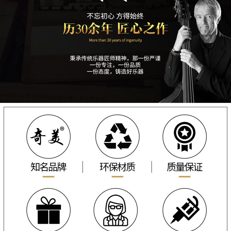 奇美口琴初学者高级成人儿童24孔专业复音c调口风琴入门自学乐器