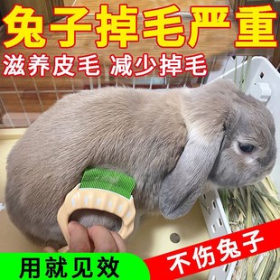 【严重掉毛】兔子化毛膏片季节性换毛掉毛吃什么脱毛毛发打结专用