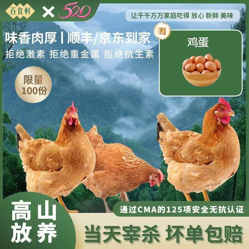 【送鸡送蛋】9年老牌店正宗大别山皖西黄油老母鸡煲汤红烧现杀