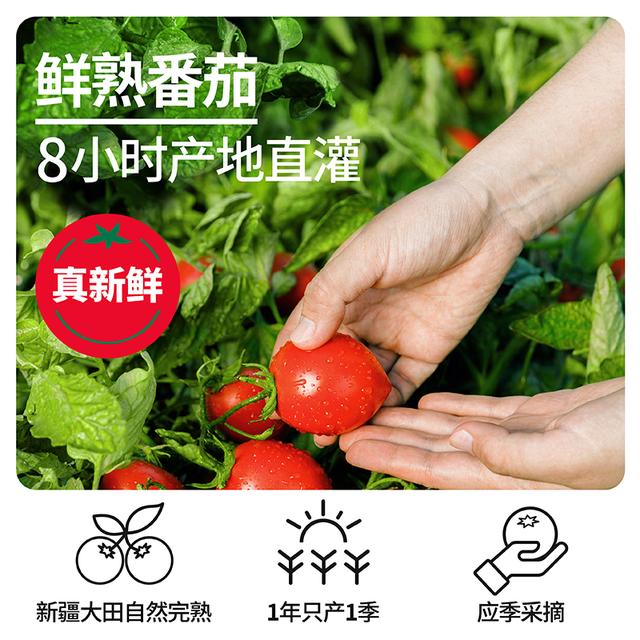 番时番鲜果原榨新疆番茄汁原榨新疆原产非浓缩还原205ml果蔬汁