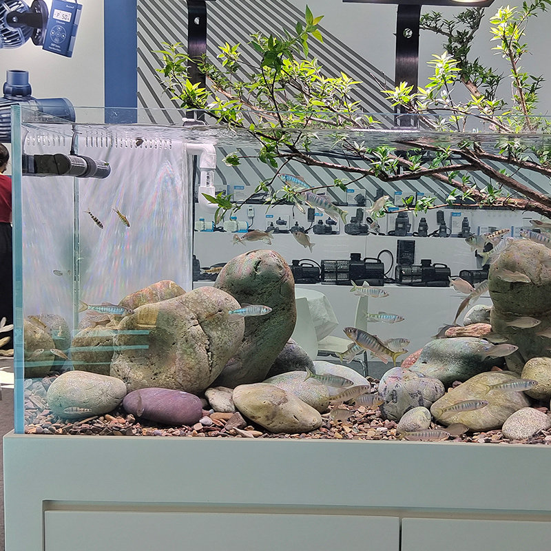 鱼缸水草缸水族箱底滤客厅超白玻璃兰寿溪流缸包背侧溢流生态海缸