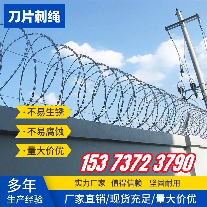 防锈刀片刺绳镀锌刺丝滚笼防盗刀刺网围墙防爬刺铁丝网围栏铁刺网图片