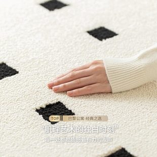卧室免打理大面积全铺轻奢高级硅藻丝沙发毯垫 地毯客厅2024新款