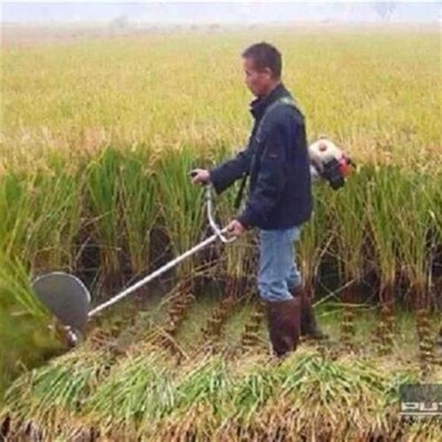 割稻机农用收割麦类m收稻小型家用割草割禾机割稻谷神器收割机水