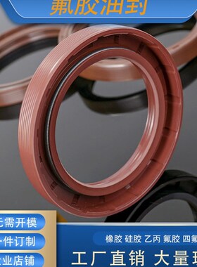 GB/T13871唇形密封圈FBTC型旋转氟胶骨架油封内径38mm外径50-62mm