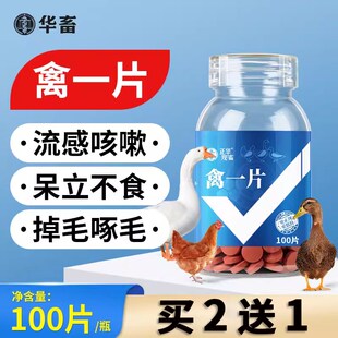 华畜禽一片禽类急救包鸡鸭鹅养殖急救片呼吸肠道感冒呼噜拉稀气喘