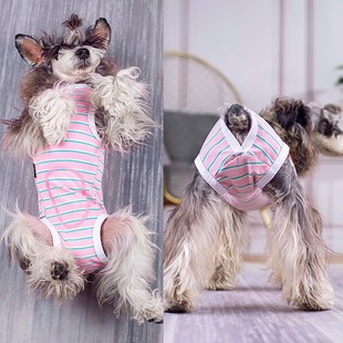 母狗狗连体生理裤姨妈裤防骚扰防乱尿四脚条纹衣断奶服防舔纯棉新