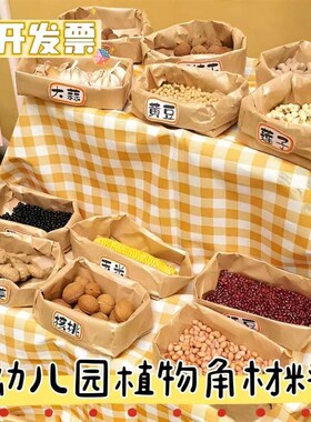 幼儿园自然秋f天材料植物角环创牛皮纸袋种植区域布置装饰班级环