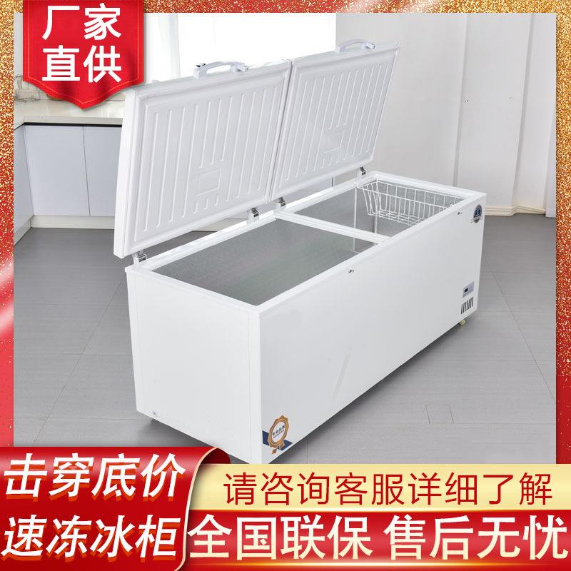 圣凯冰箱冰柜商用冷冻柜大容量节能卧式冷藏保鲜冷冻单双温展示柜