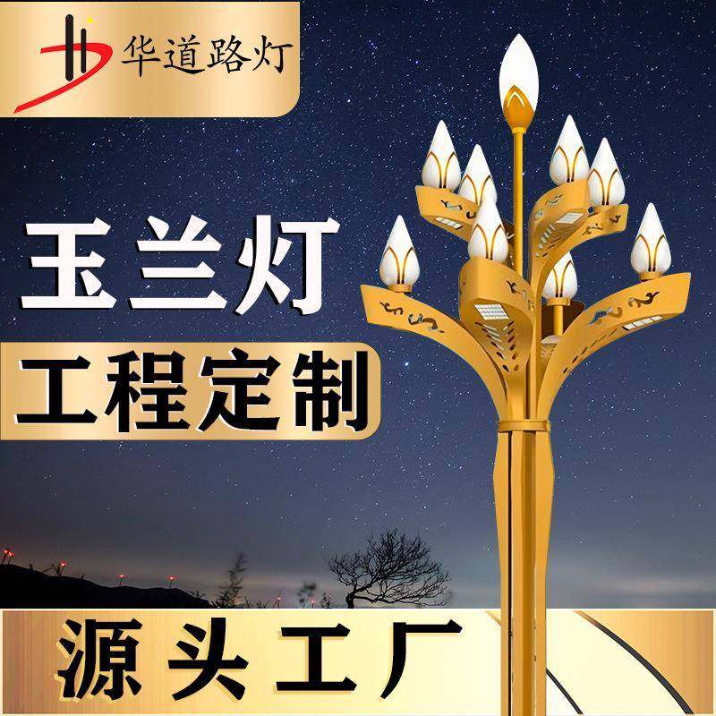 玉兰灯LED中华灯八叉九火大型景观灯市政工程小区学校道路led照明,家装灯饰光源,景观庭院灯饰,淘宝优惠券,粉丝福利购,淘宝优惠卷