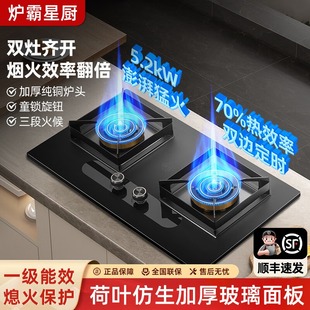家用嵌入式燃气灶双灶大火力熄火保护猛火灶煤气罐天然气厨房灶具
