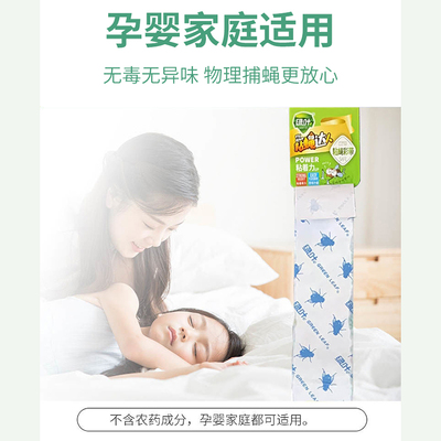 苍蝇贴强力粘苍蝇纸绿叶粘蝇彩带灭蝇沾虫纸贴抓苍蝇捕捉神器家用