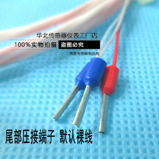 温度传感器探针式 PT1000尖头 刺入式 热电阻PT100 铂热电阻