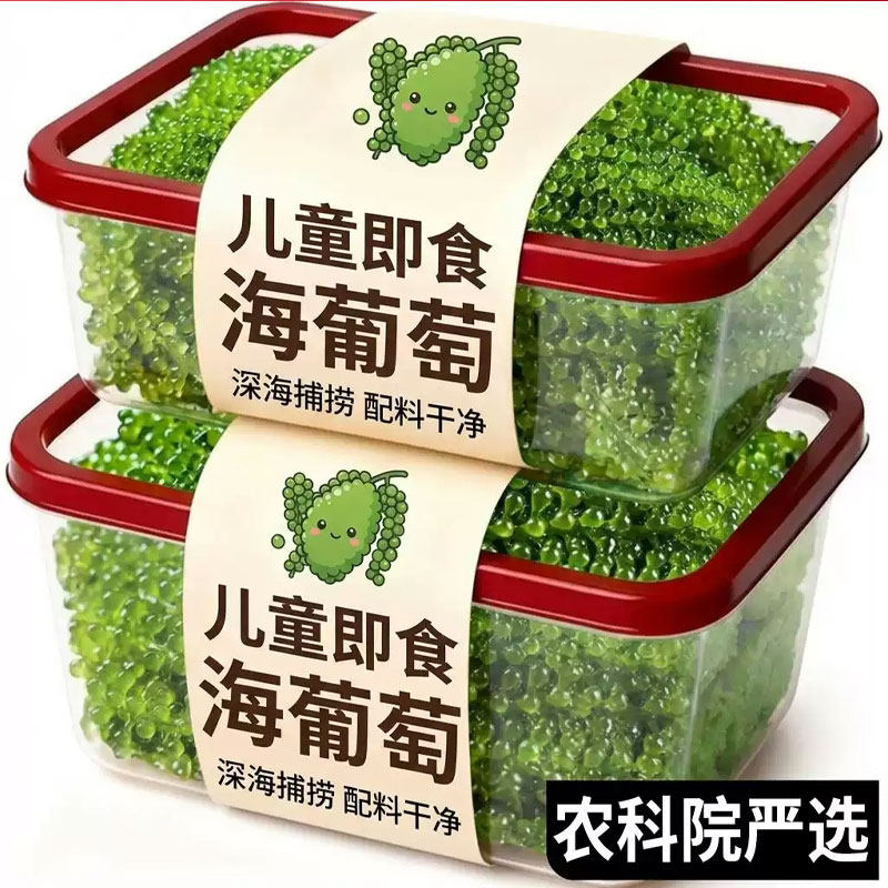 正宗！儿童即食海葡萄0脂肪补充营养新鲜盐渍水葡萄绿色鱼子酱