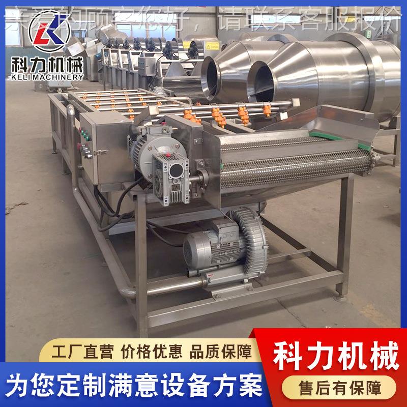 清果蔬气泡清洗机 辣椒气气泡机 VYK粽叶洗泡清洗机自动清洗机