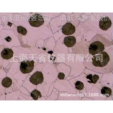 T-X5倒CDSS金属材料淬火金相组织结相构金相分析微观置金显微镜