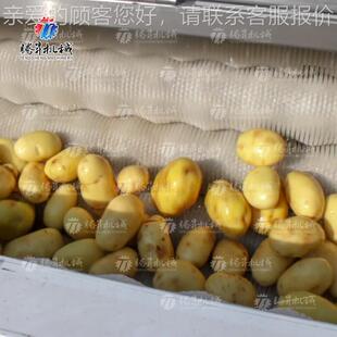 臭氧消根毒冲气泡冲刷清洗机洗菜机 茎类毛辊气泡加工清浪洗生产