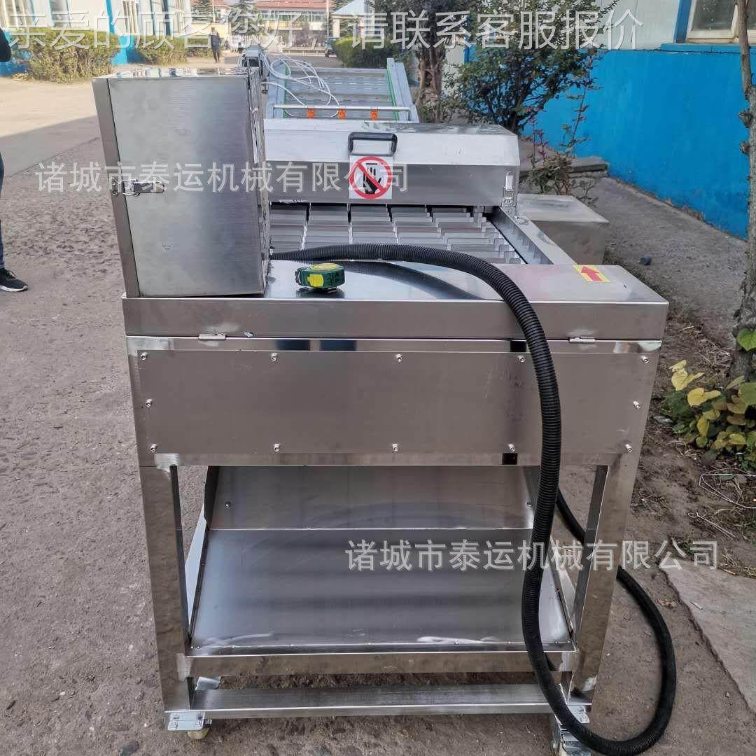 带鱼切段机五香段酥鱼罐头JOV加工设备鲅鱼切斜备头带鱼切去设尾,清洗/食品/商业设备,肉制品加工设备,淘宝优惠券,粉丝福利购,淘宝优惠卷