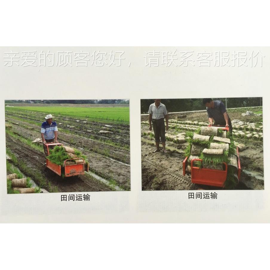 式B51(11654)F履带式搬运机田间管理运输机手扶果 园3搬运机