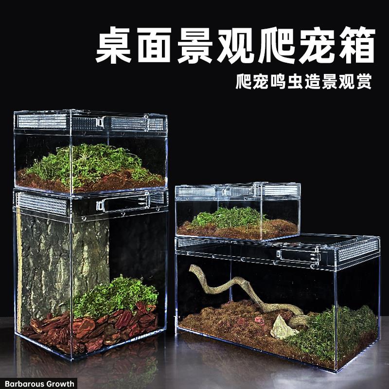 亚克力爬宠饲养箱生态雨林造景蜥蜴守宫宠物蛇蜘蛛爬虫乌龟水陆缸