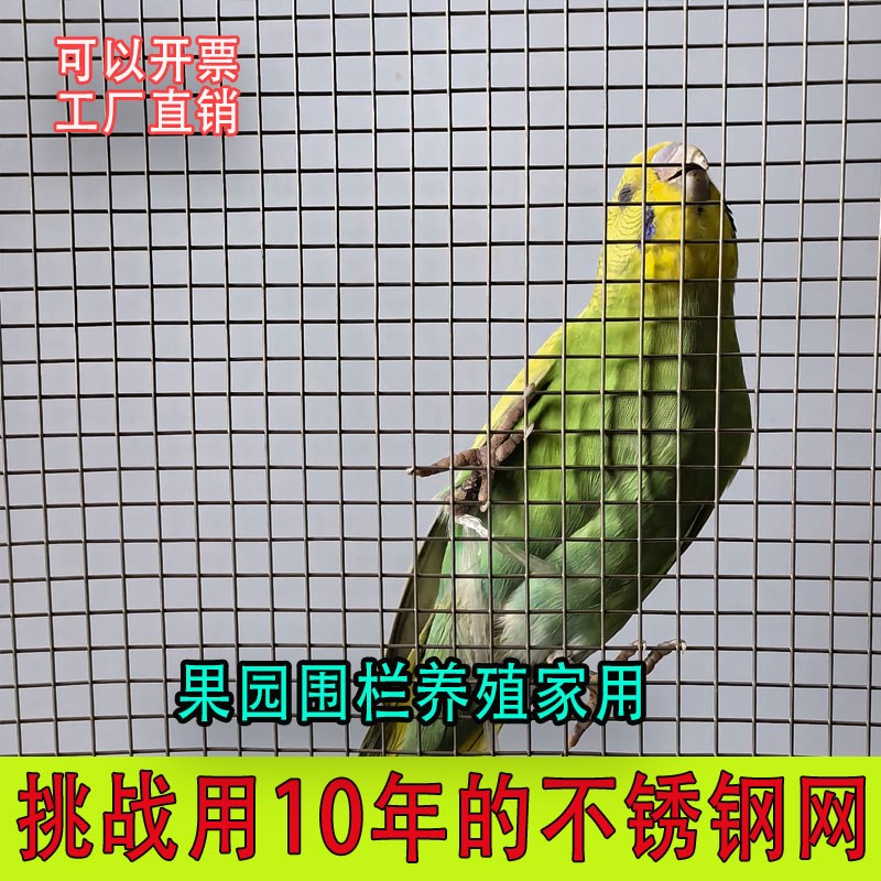 网电焊网围栏阳台护栏防护网加粗焊接钢丝网片养殖围网