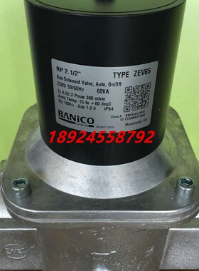 英国博尼科ZEV65 DN65,ZEV80 DN80电磁阀