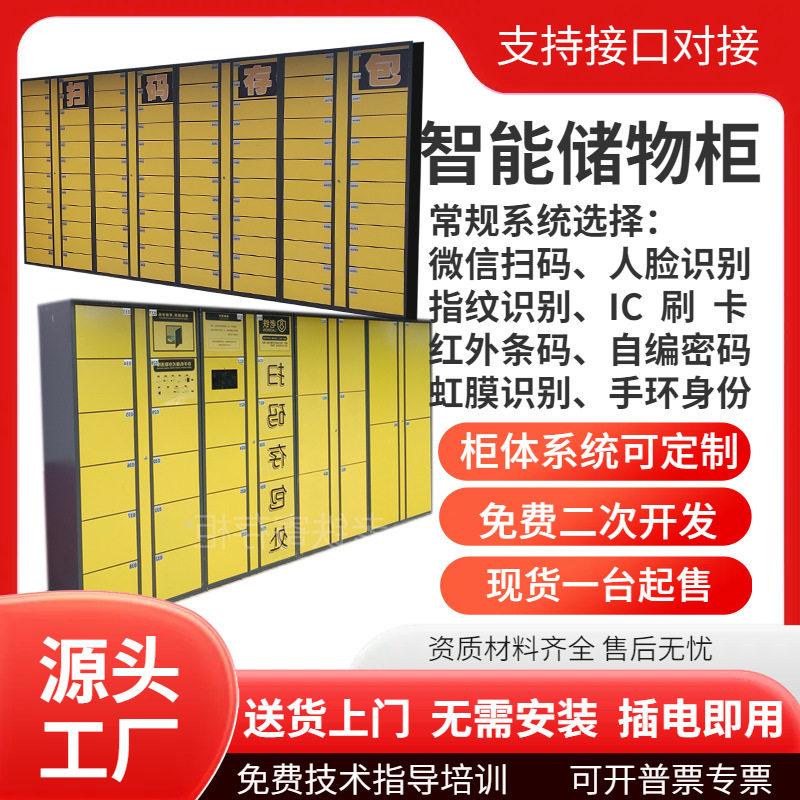 微信扫码智能寄存柜/存包/平板手机/行李箱/洗浴更衣柜/门数可选图片