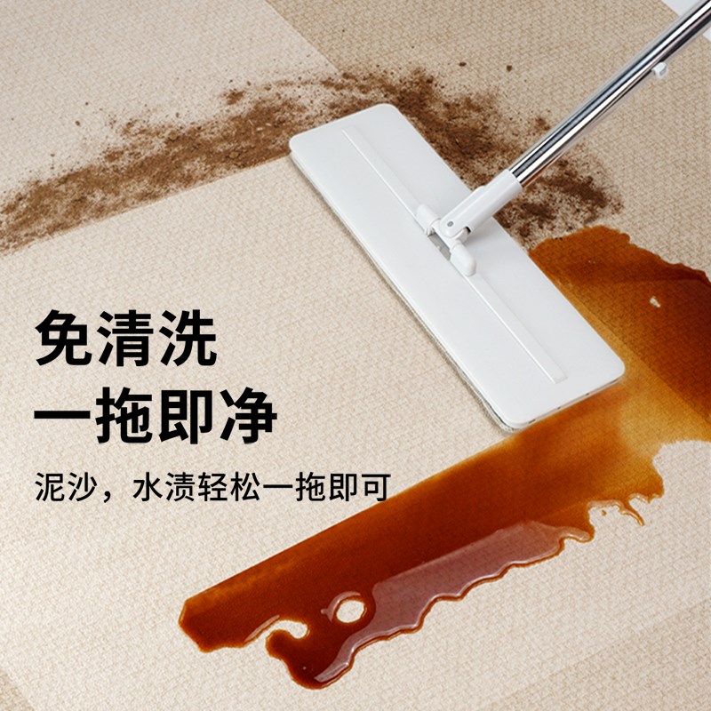 地垫入户门垫进门pvc门口脚垫2024新款可擦免洗门厅地毯玄关垫子