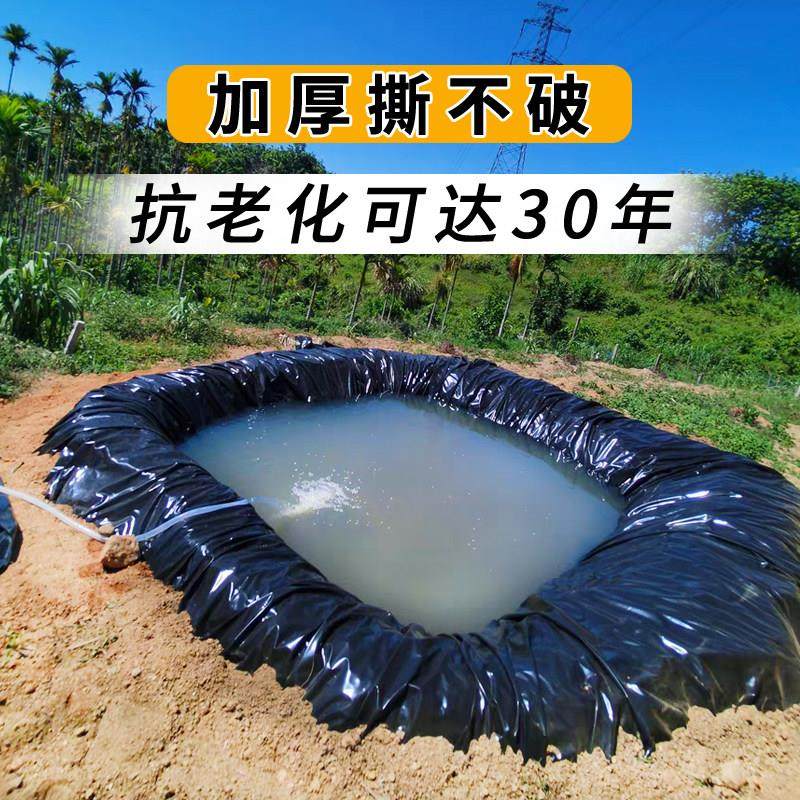 加厚鱼塘防渗膜鱼池专用防水帆布水产养殖塑料膜蓄水池篷布膜油布