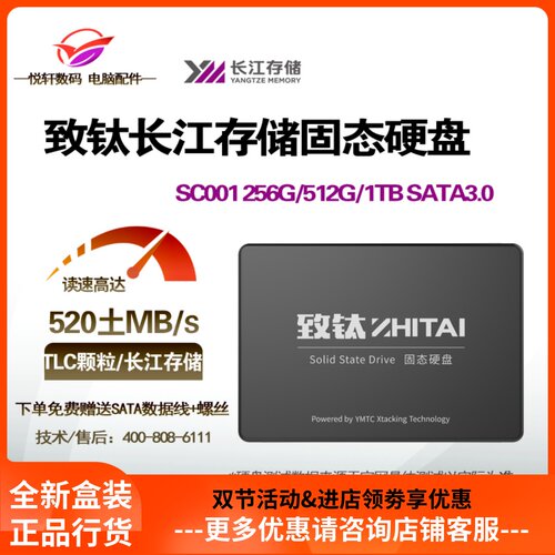 致钛/致态 SC001 PC005 256G 512GB SSD固态硬碟NVME桌上型电脑笔