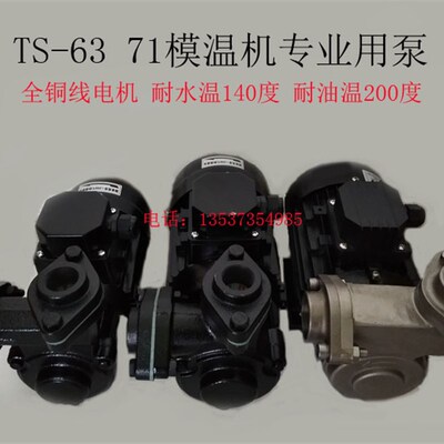导热油循环泵热水泵WM-05 10 20替代元欣奥兰克模温机泵YS-15A15B
