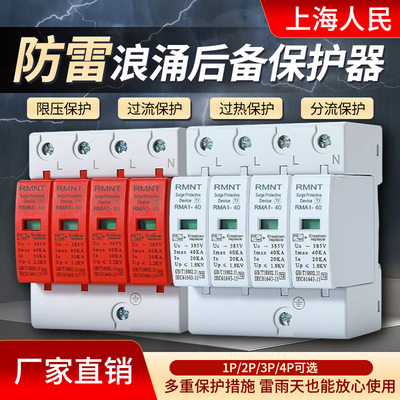 浪涌保护器单相光伏2P家用电源防雷器三相4P避雷电涌开关上海人民