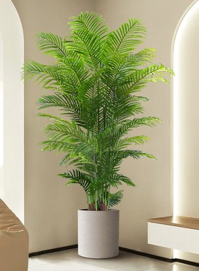 大型落地摆件玄关装饰品电视柜高级仿生客厅仿真绿植散尾葵假盆栽