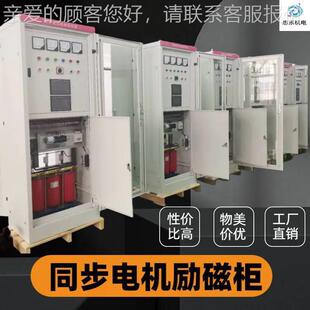 TDMK同步机ZLC励磁装置ZC励L磁柜 采用全数技字电控制术